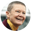 pema chodron