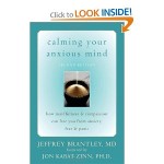 Calming Your Anxious Mind book cover