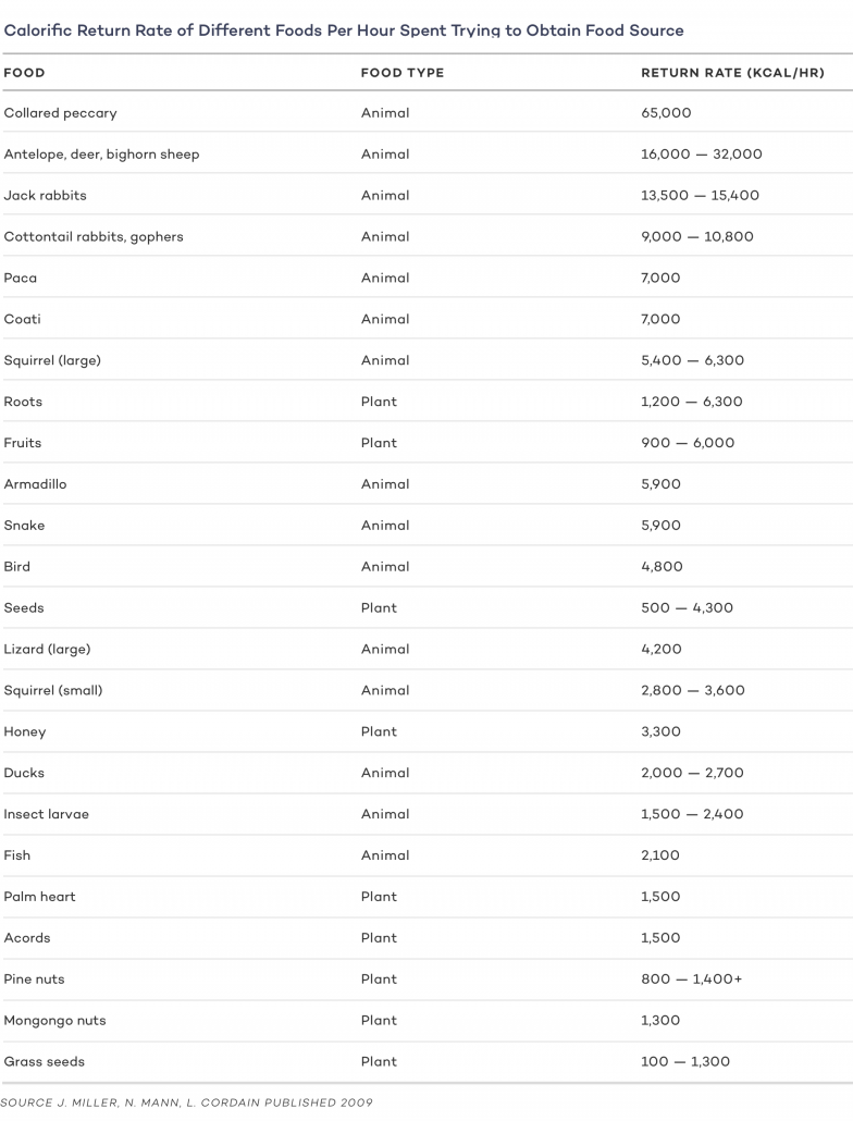 Calorific Return Rate of Different Foods Per Hour Spent Trying to Obtain Food Source