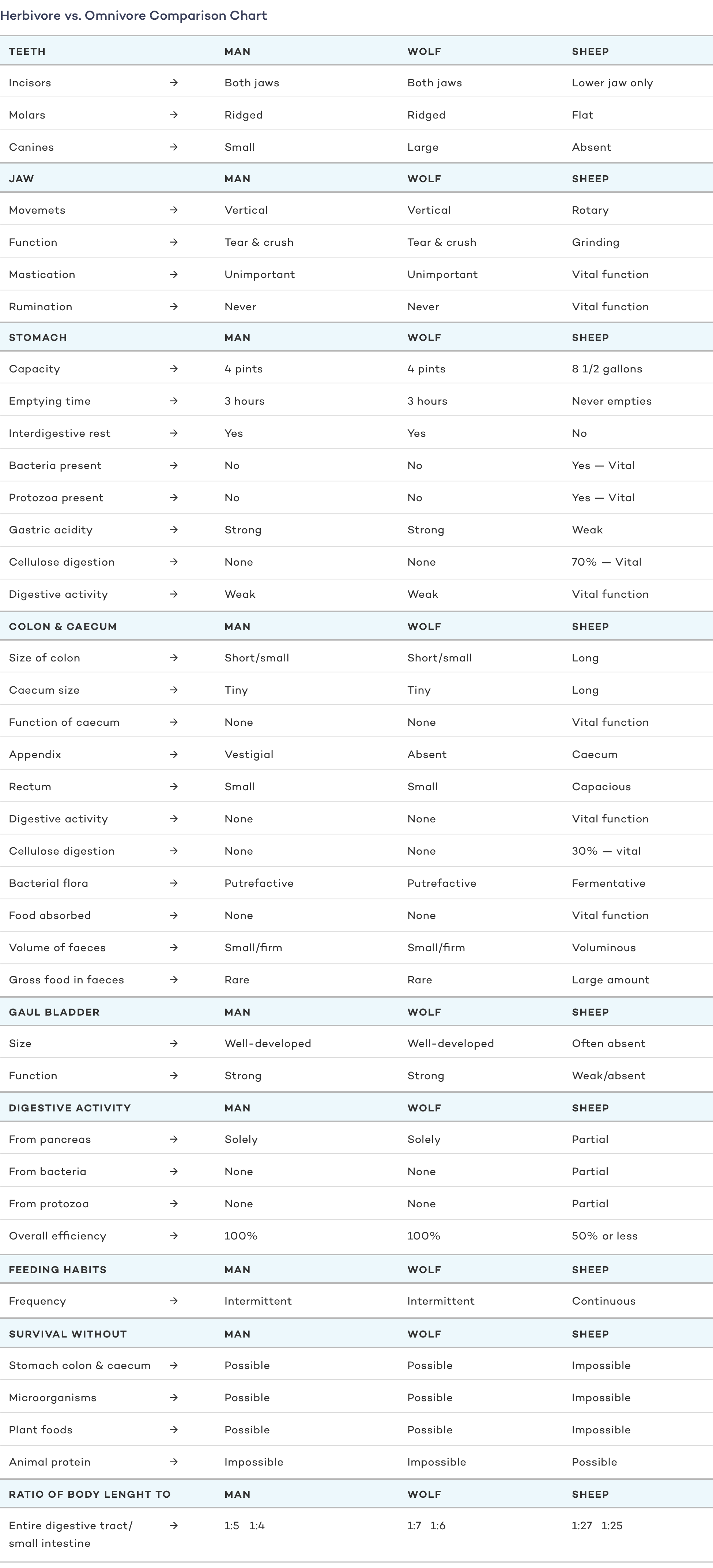 Herbivore vs. Omnivore Comparison Chart