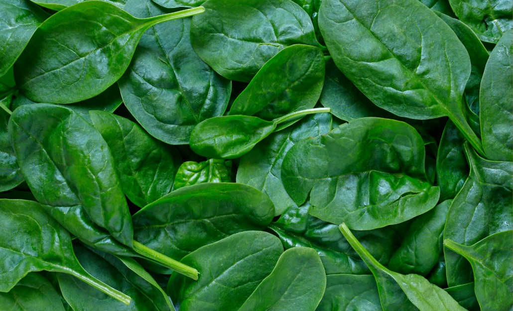 High Oxalate Food Spinach