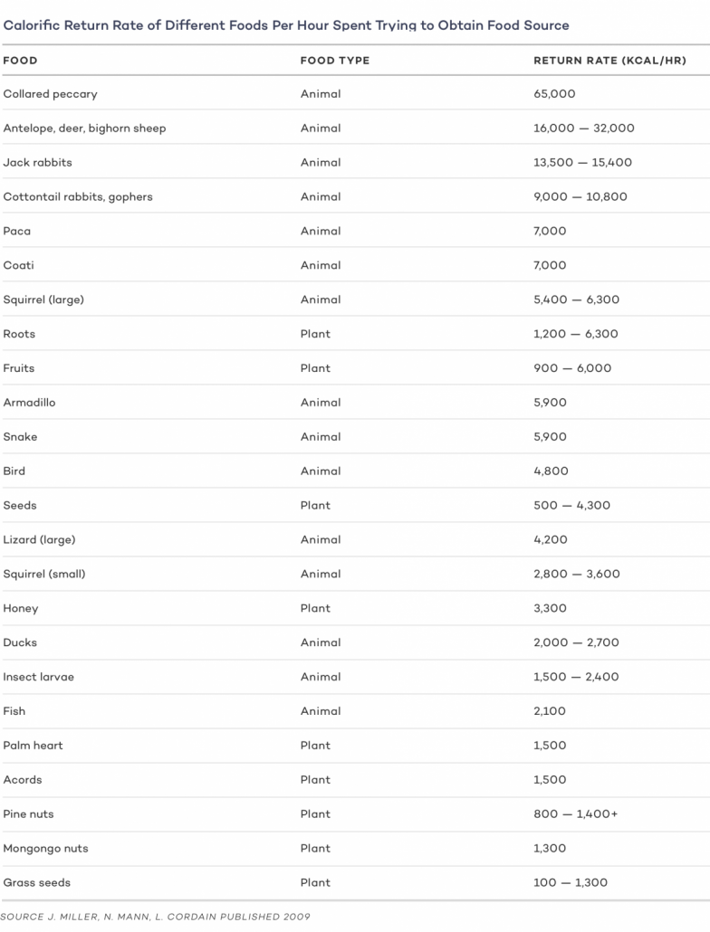 chart of calorific return on various hunter gatherer prey