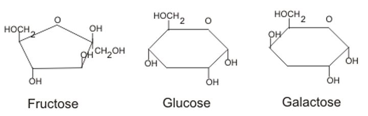 Galactose