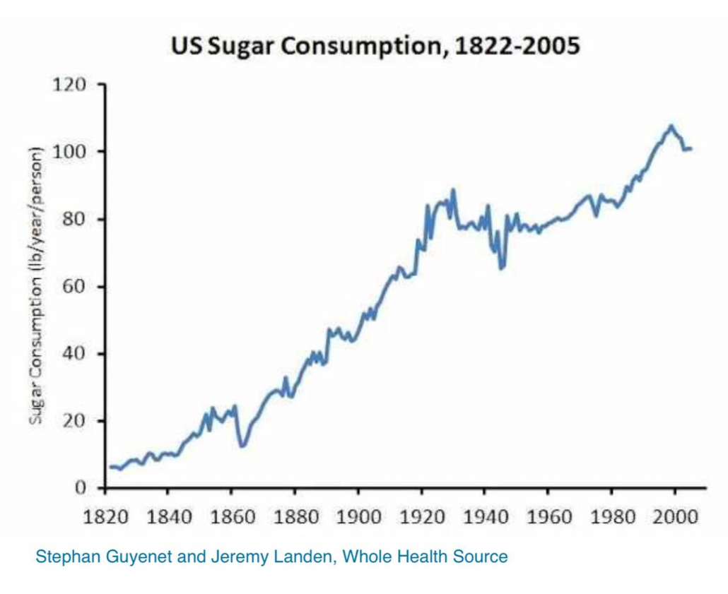 Carbs and US Sugar consumption