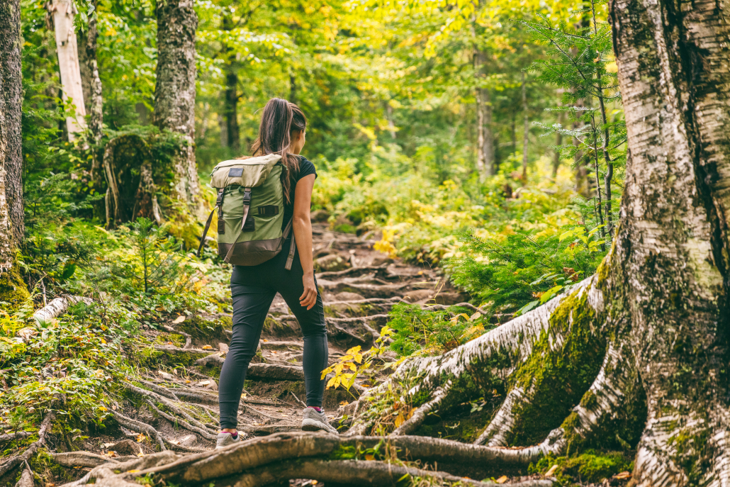 Benefits of walking: Forest hike trail hiker