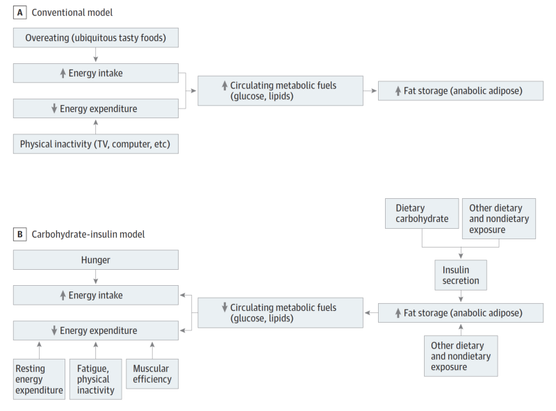 Conventional energy balance model vs. carbohydrate insulin mdoel 