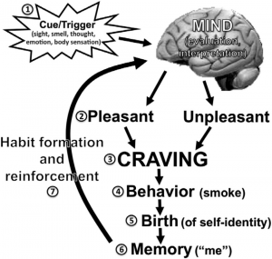 Dependent Origination