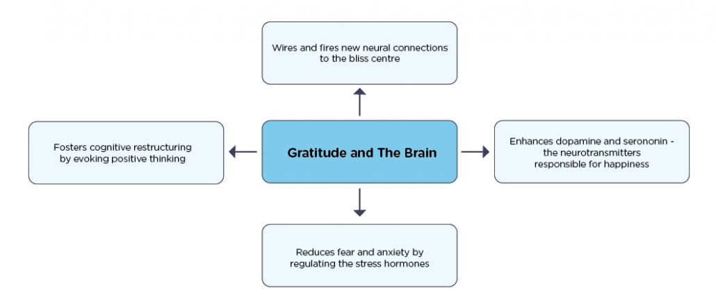 Gratitude Brain