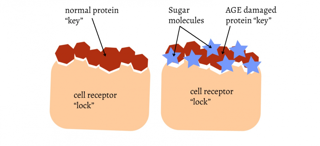 Glycation