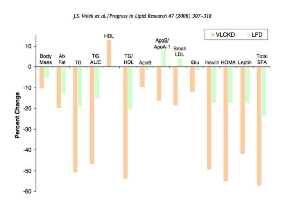 Keto Myths: Lipid Research