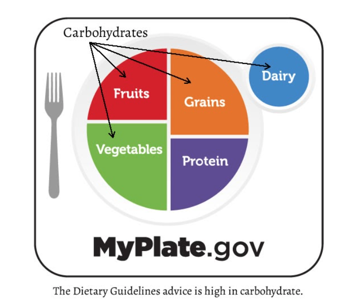 The Standard American Diet 