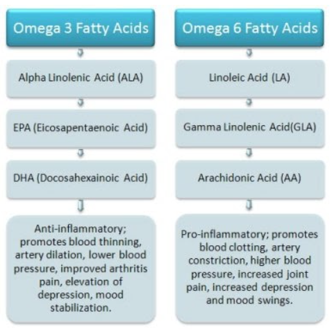 Omega 3 fatty acids vs Omega 6 fatty acids