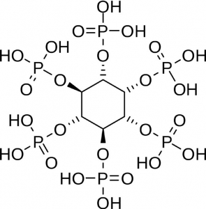 Phytic Acid