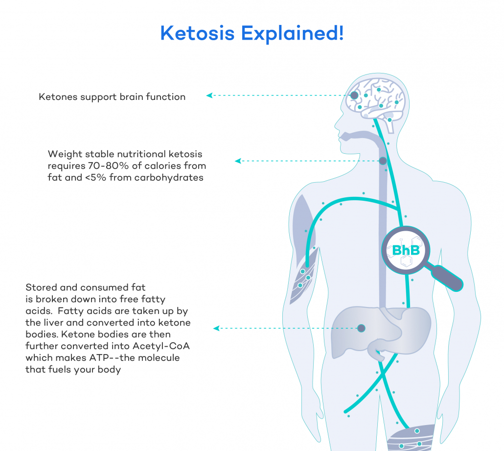 Getting Into Ketosis In 24 Hours