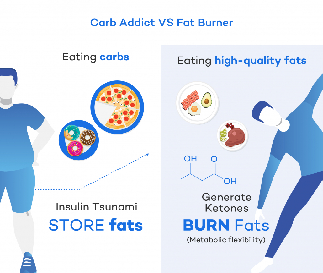 Carb addict vs Fat burner