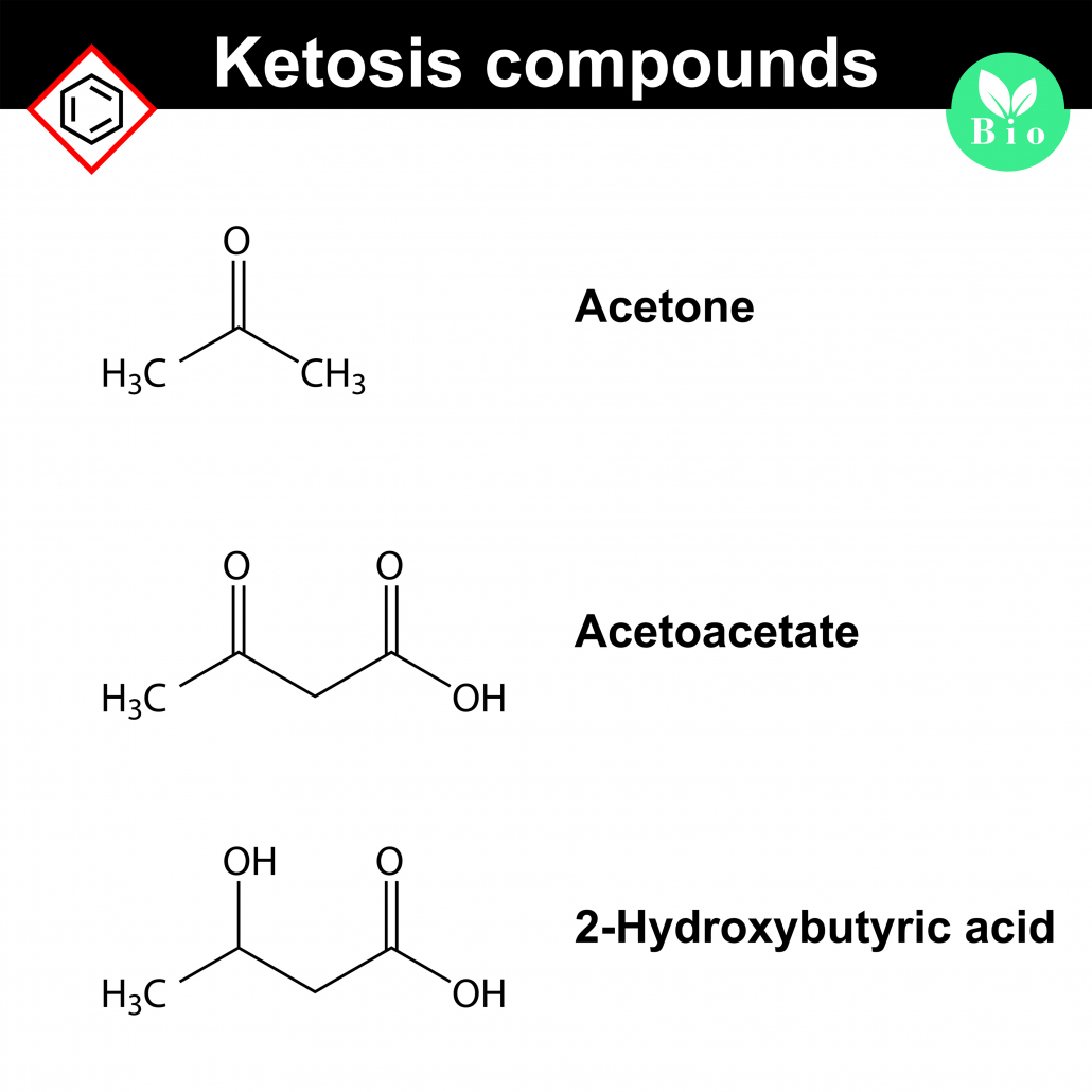 Ketone bodies