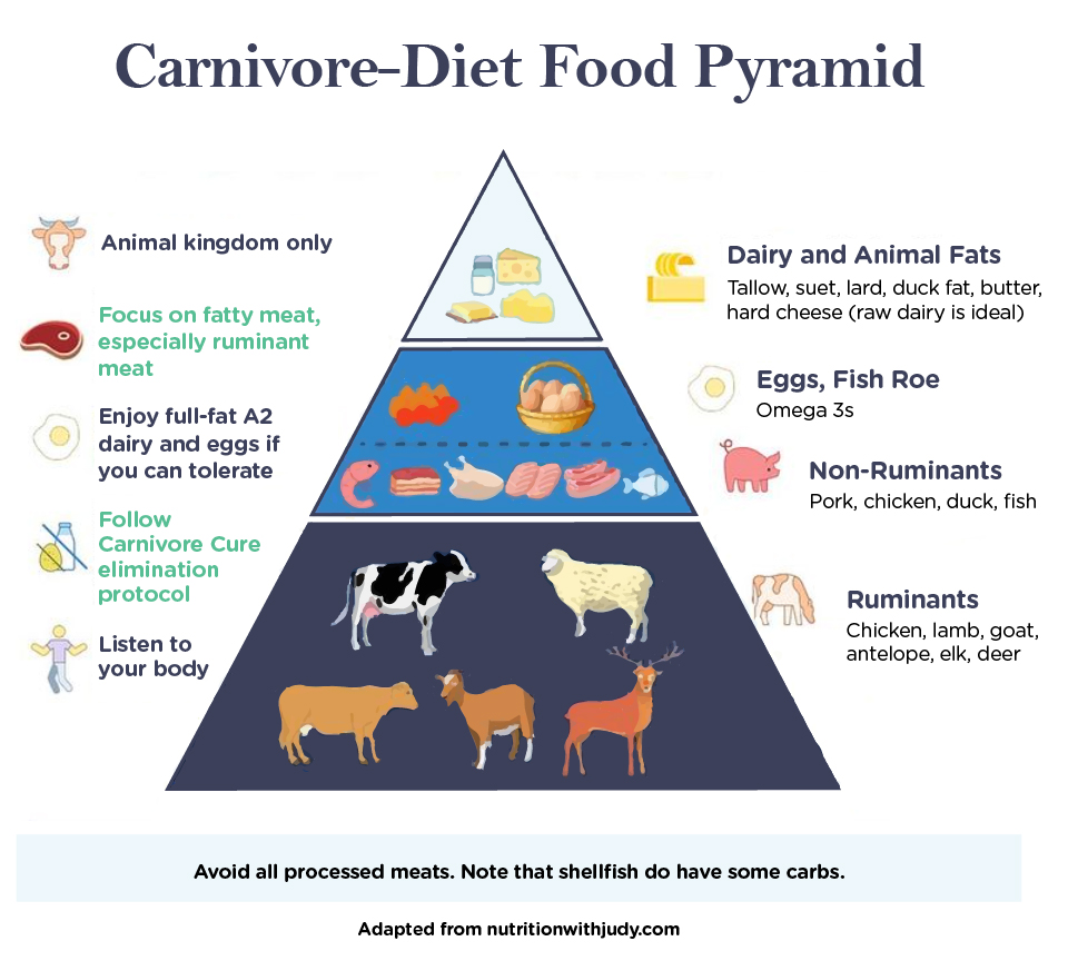 Carnivore Diet Food List: What to Eat On the Carnivore Diet - Dr