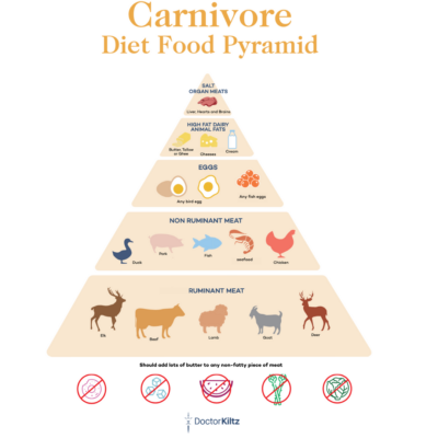 carnivore diet meal plan for beginners