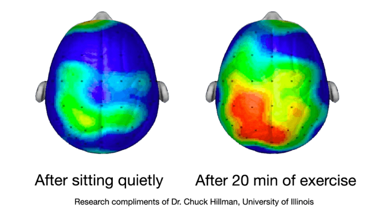 brain-activity-exercise