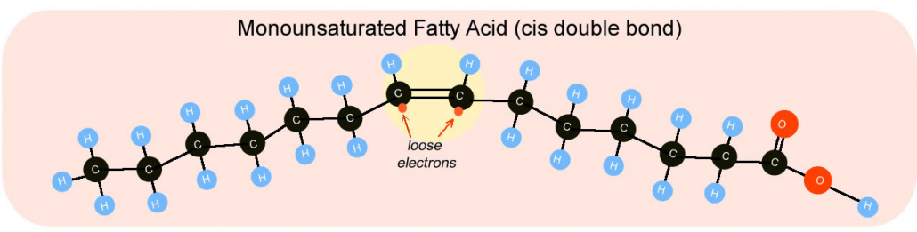 Monounsaturated Fatty Acid