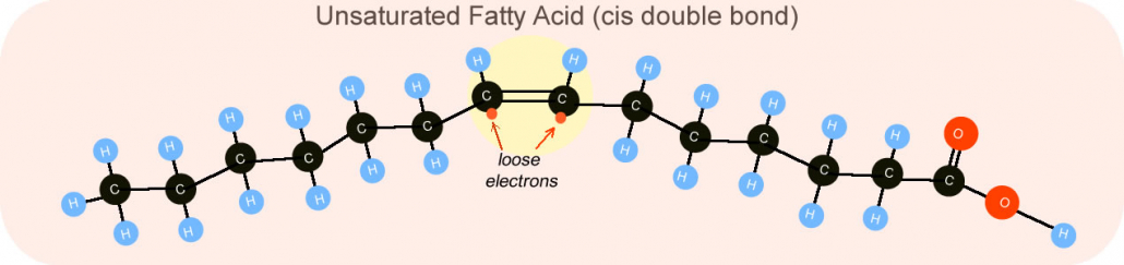 Unsaturated Fatty Acid