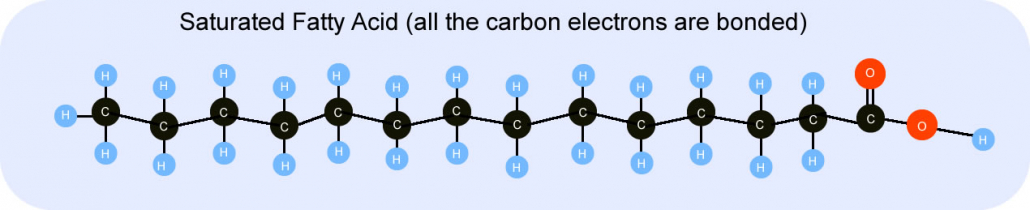 Saturated Fatty Acid