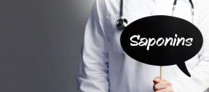 Saponins: Everything You Need to Know