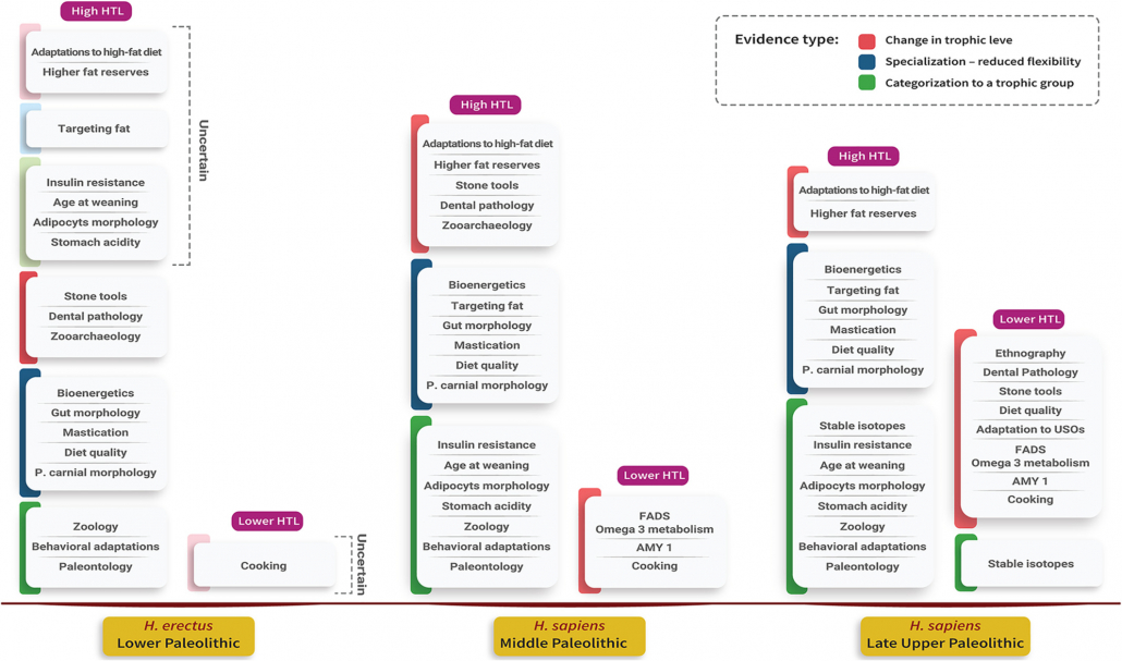 human trophic levels through the Pleistocene 