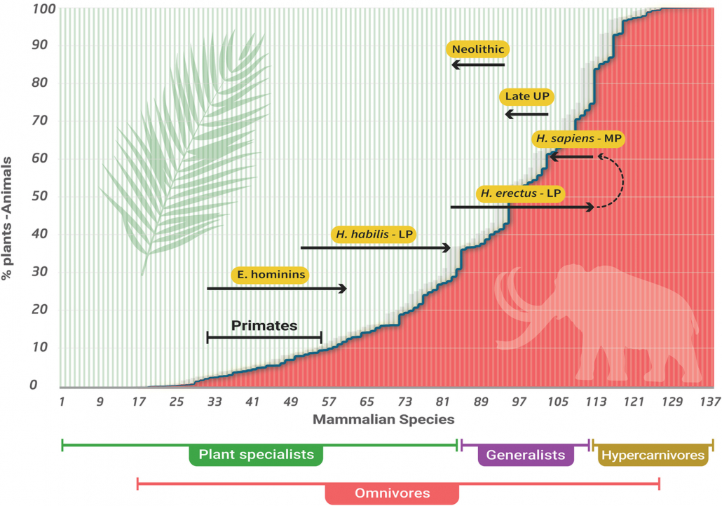 human trophic level