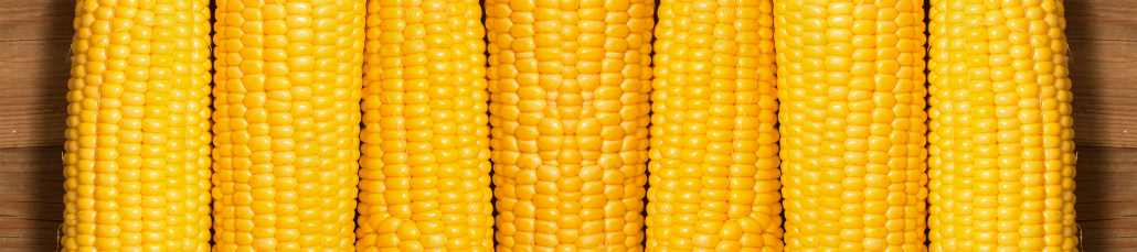 Antinutrients in Corn