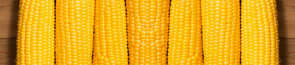 Antinutrients in Corn
