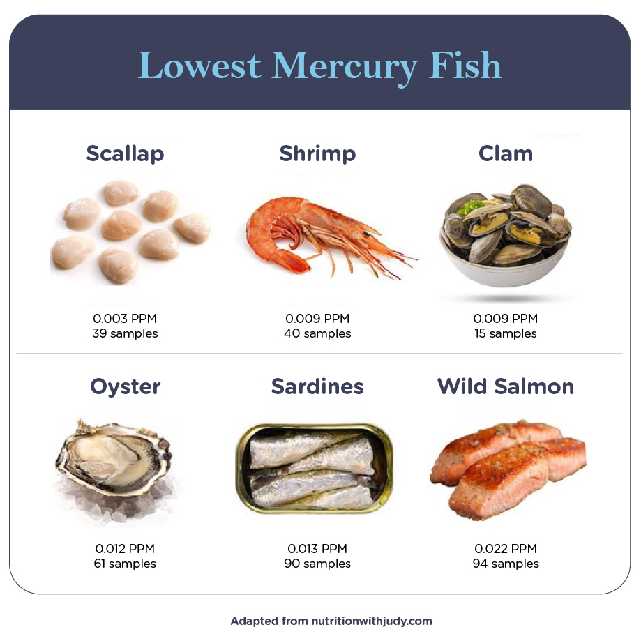 lowest mercury fish and seafood