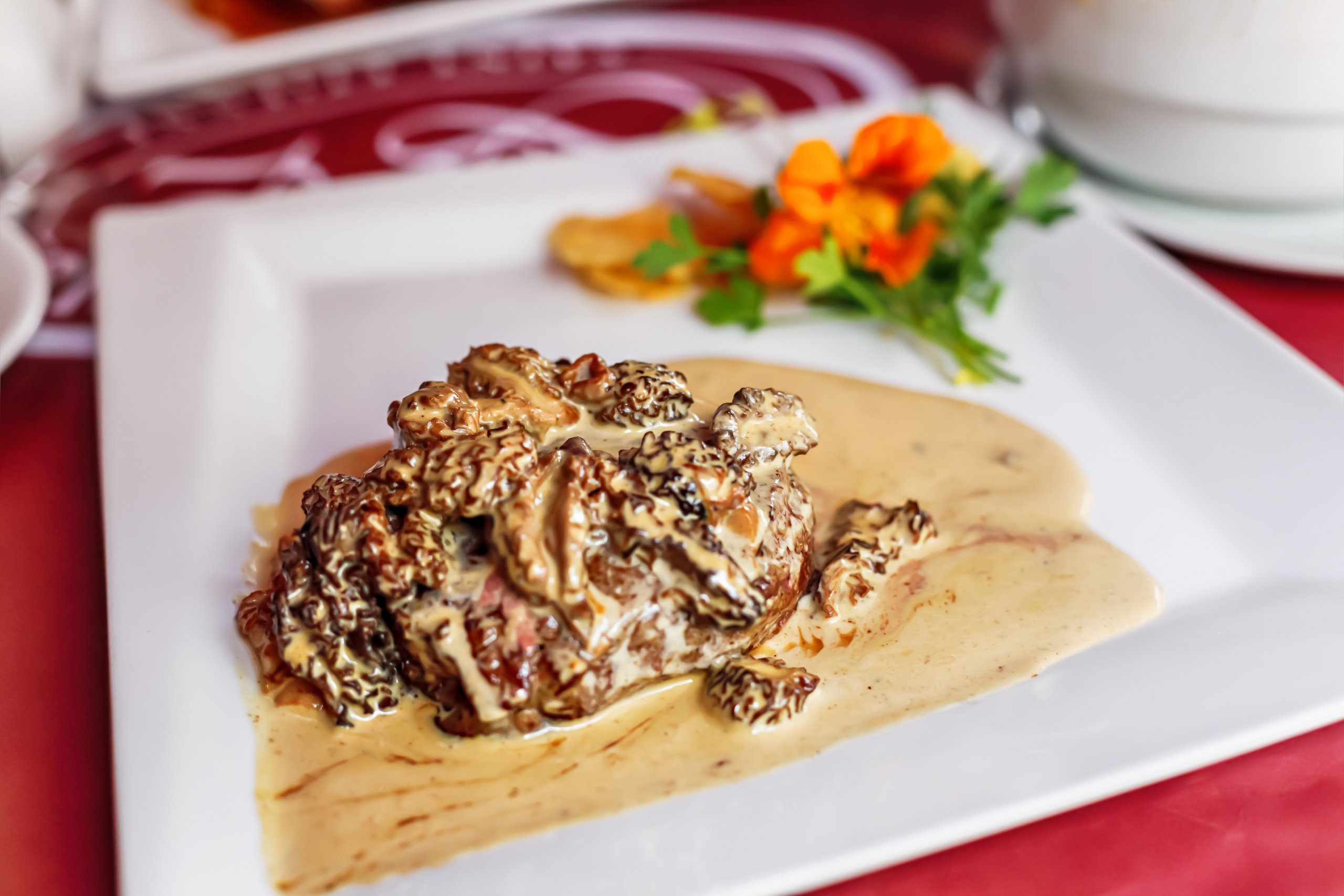 Beef Pancreas Nutrition, Benefits, and