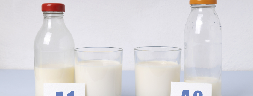 glass of A2 milk beside gladd of A1 milk