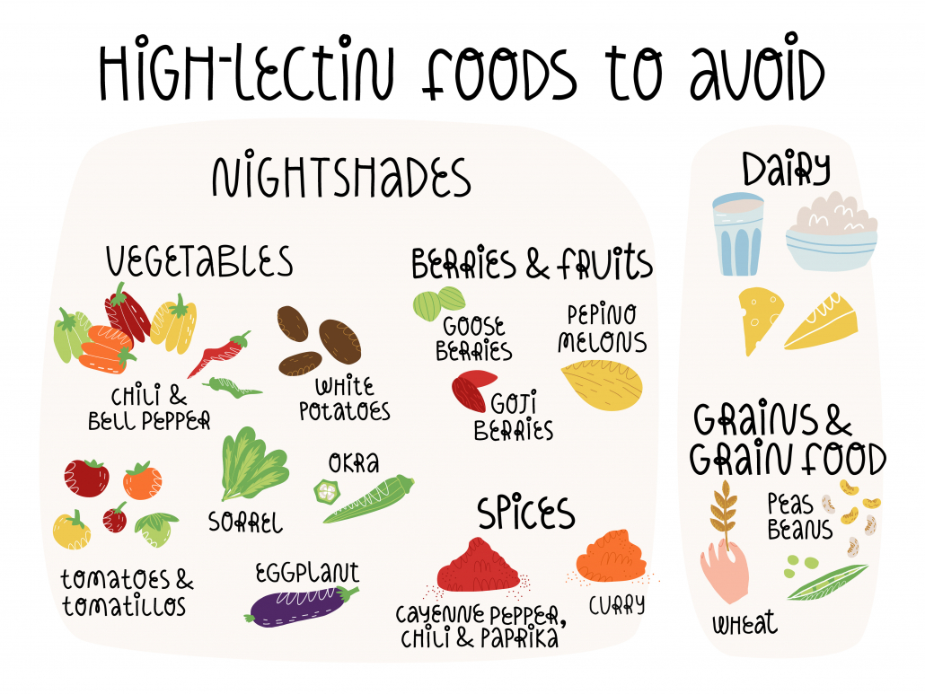 High-lectin foods to avoid infographics banner. Nightshades vegetables, fruit and seasoning, dairy and grain foods.