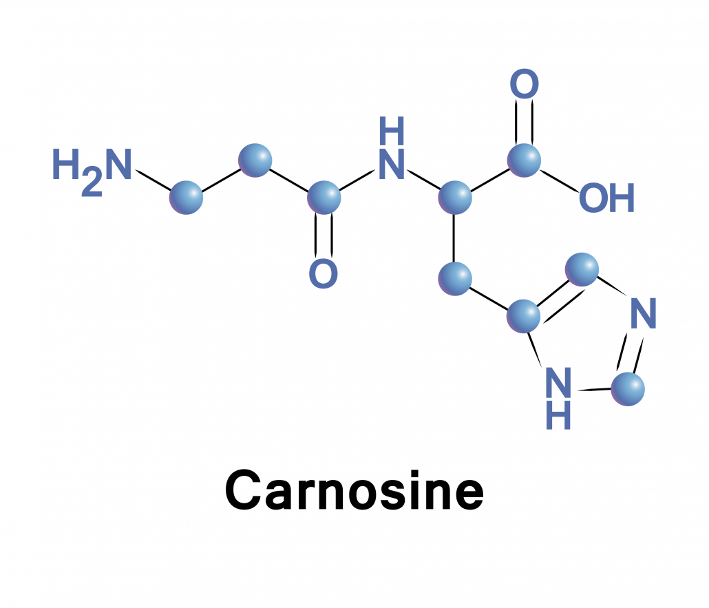 Carnosine, beta-alanyl-L-histidine, is a dipeptide molecule, made up of the amino acids beta-alanine and histidine. It is highly concentrated in muscle and brain tissues.