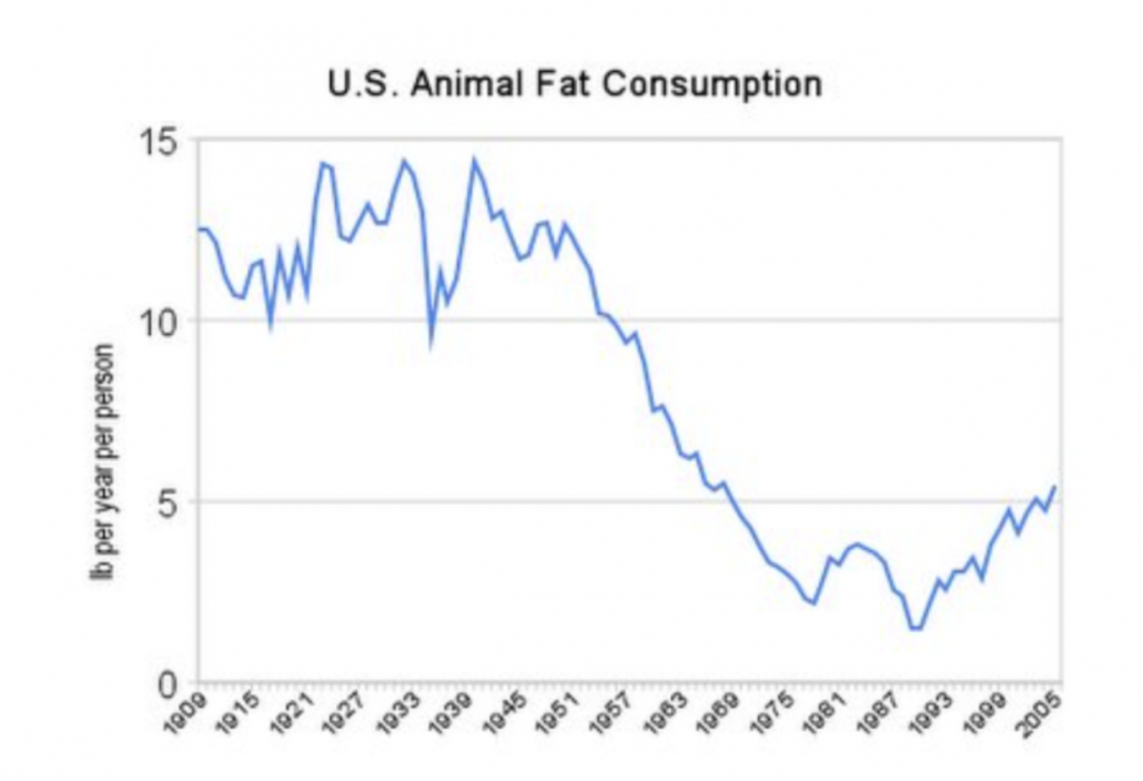 graph showing animal fat consumption over passt 100 years