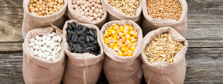 bags with cereal grains (oat, barley, wheat, corn, beans, peas, soy, sunflower)