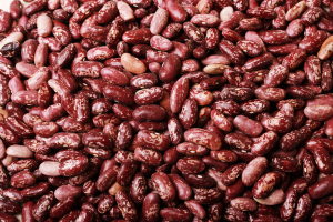 Lectins 101: Antinutrient You Should Know About