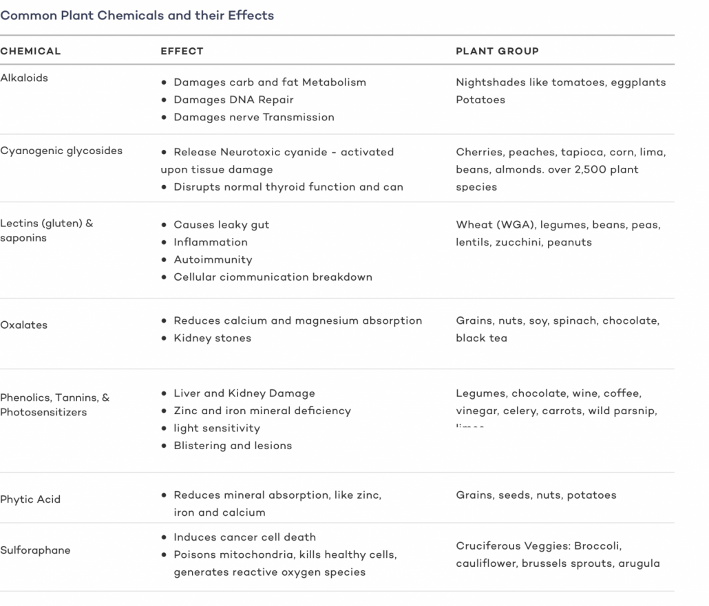 chart of common plant chemicals