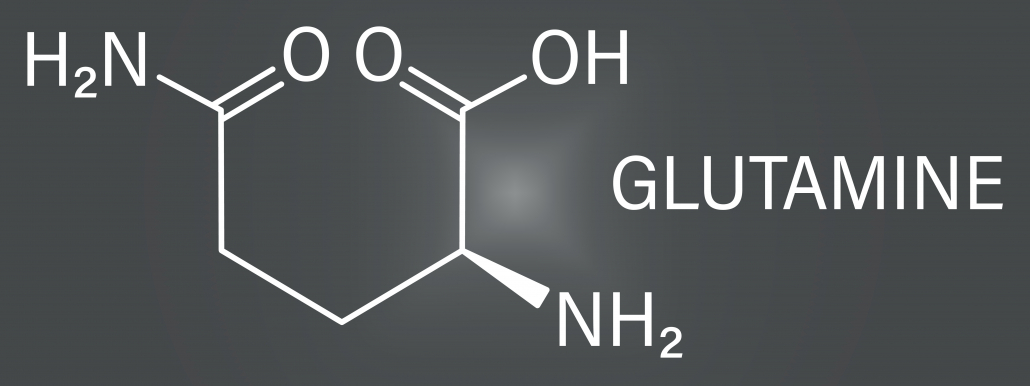 Glutamine or l-glutamine, Gln, Q amino acid molecule. Skeletal f