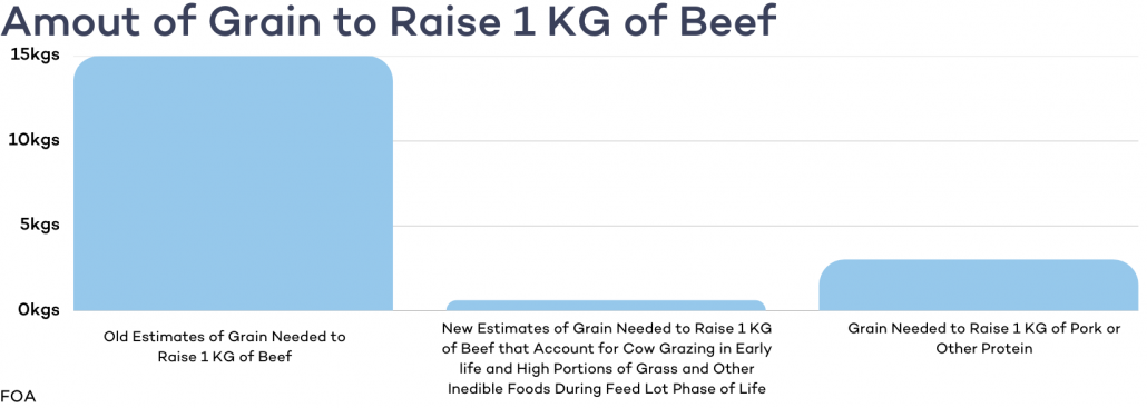 graph showing amount of grain needed to raise 1 kg of beef