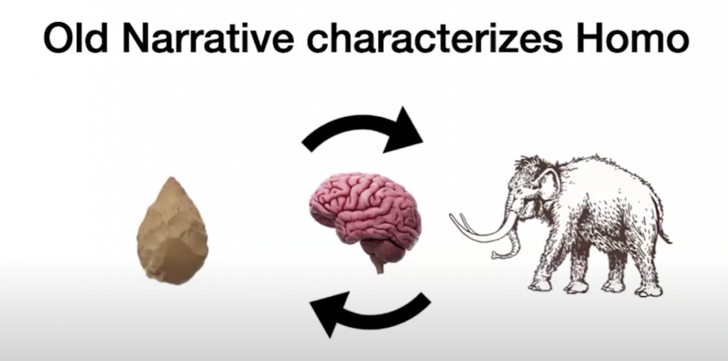 diagram showing percussive tool, brain, and mastadon