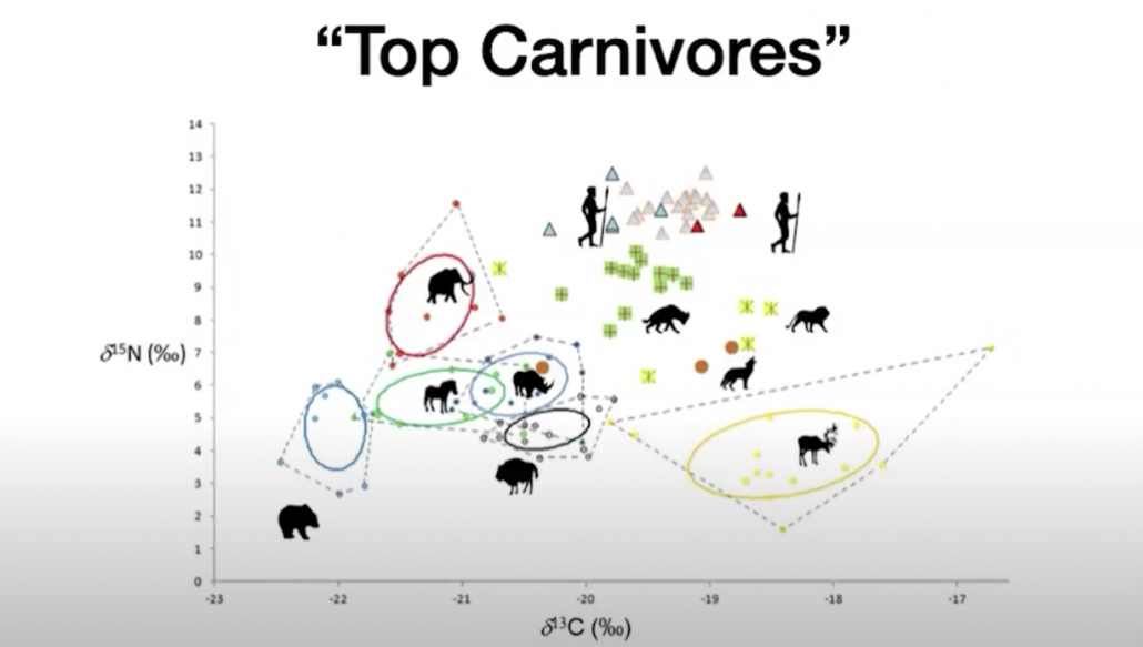 graph showing meat eating evidence in human isotopes