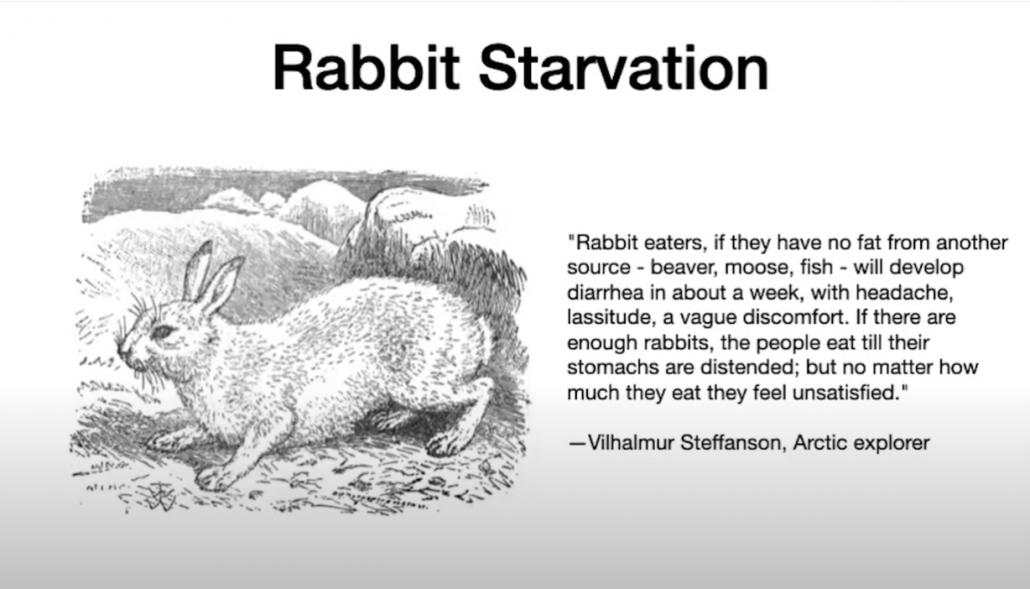 arctic explorer account of rabbit starvation