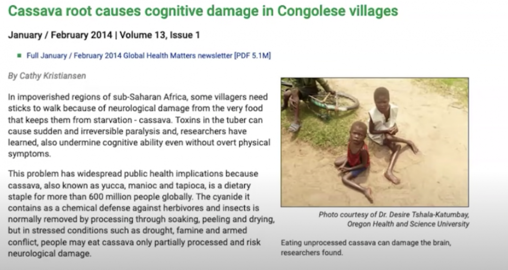 detail from study on toxicity due to cassava consumption