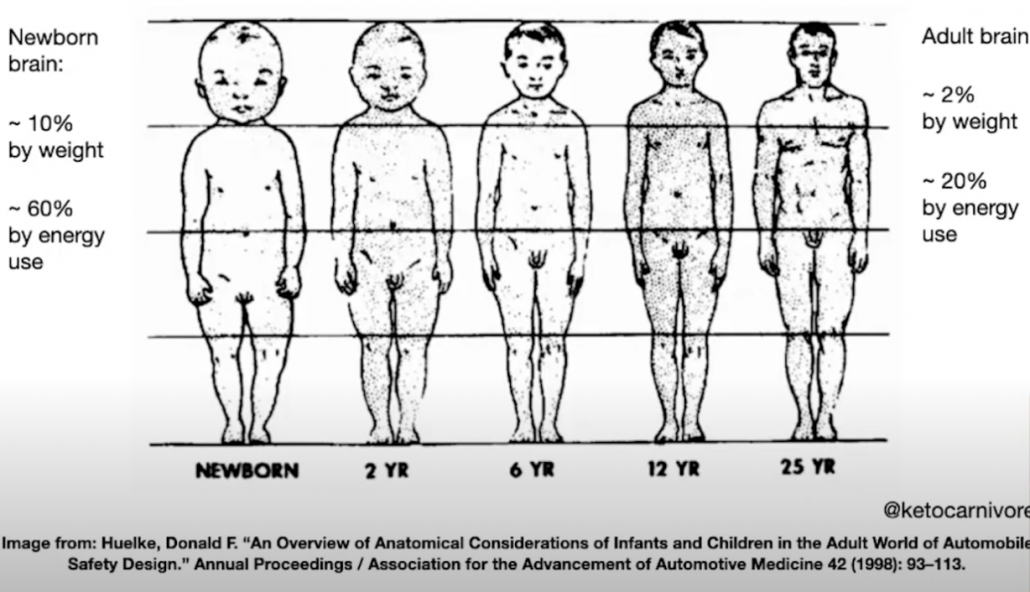 image showing human baby head in proportion to adult humans