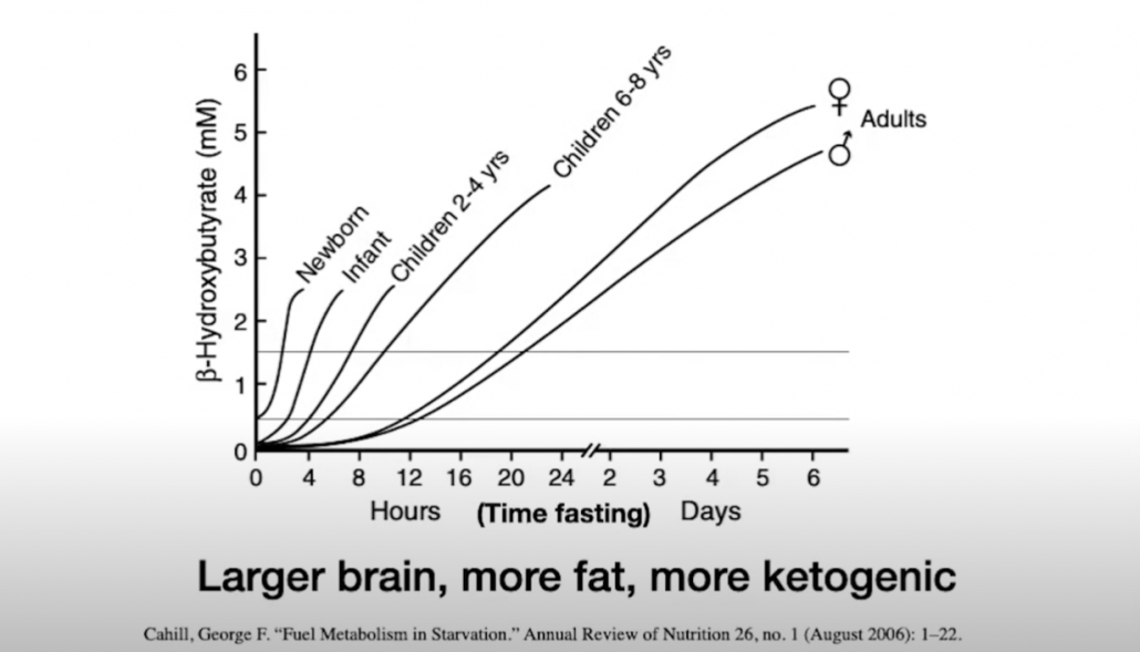 graph showing ketone presence in babies compared to adults