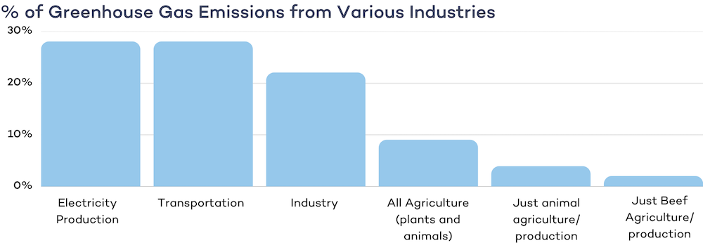 Chart of greenhouse gas emissions