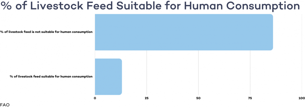 graphs of livestock feed